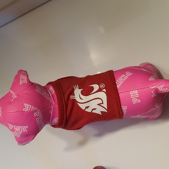 VS Pink Washington State Cougars Mini Dog and 2018 Ornament - Picture 3 of 4
